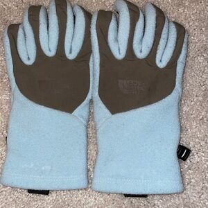 The north face gloves